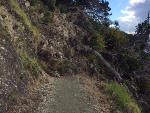 Clifftop Walkway slip damage-305